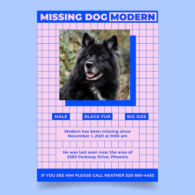 Flat design grid modern lost dog poster