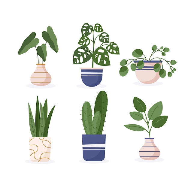 Flat design houseplant collection