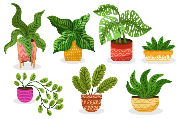 Flat design houseplant collection