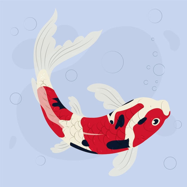 Flat design koi fish illustration