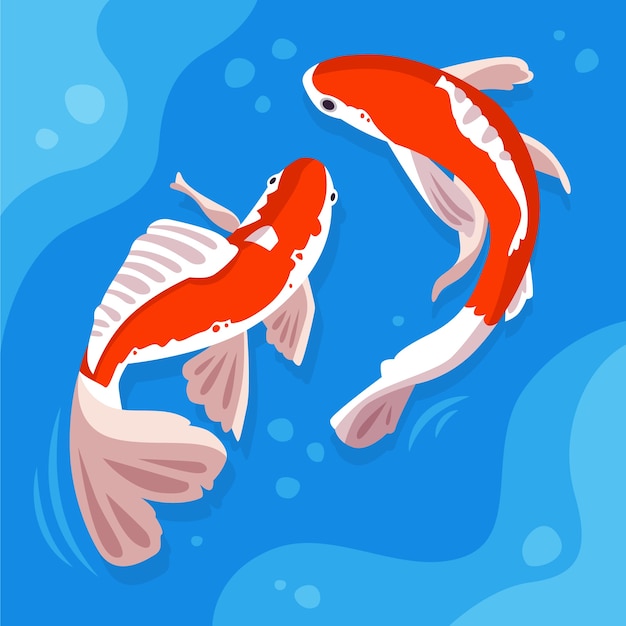 Flat design koi fish illustration