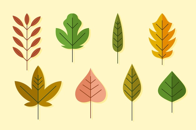 Flat design of leaves collection