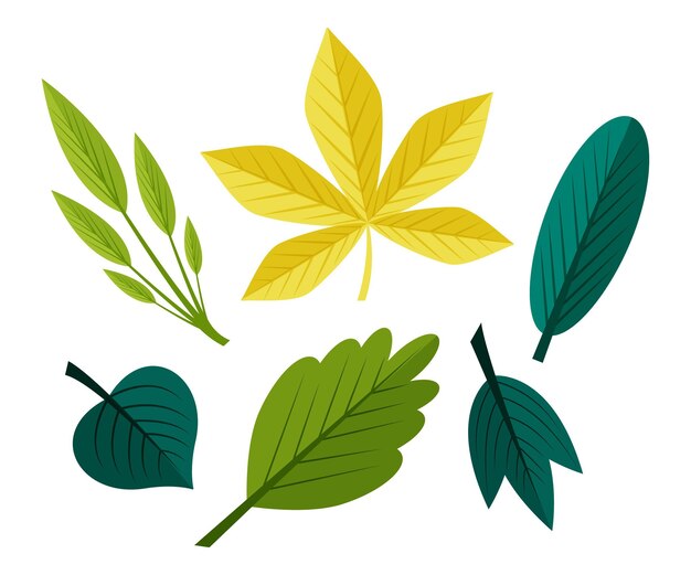 Flat design leaves pack