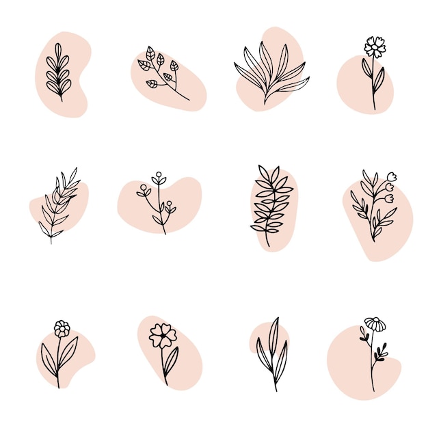 Flat design of linear leaves and flowers