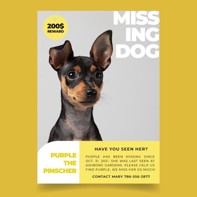 Flat design modern purple lost dog poster