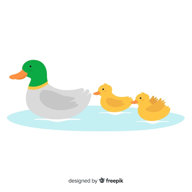 Free Vector flat design mother duck and her little ducklings