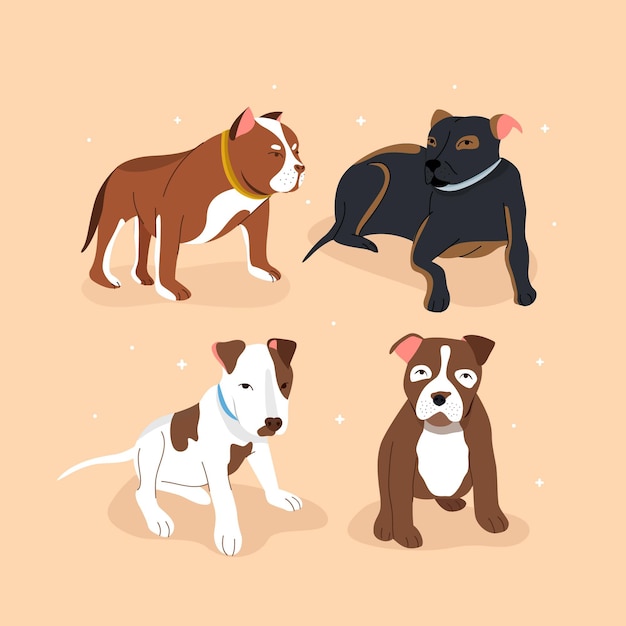 Free vector flat design pitbull pack