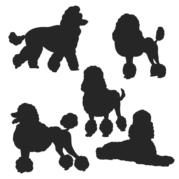 Free Vector flat design poodle silhouette illustration