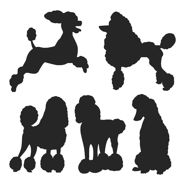 Free Vector flat design poodle silhouette illustration