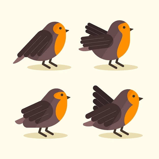 Flat design of robin collection