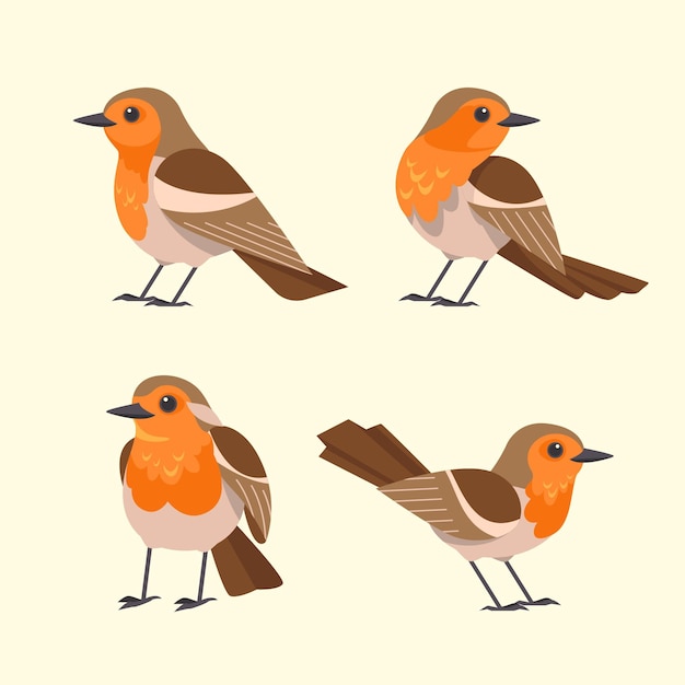 Flat design robin set