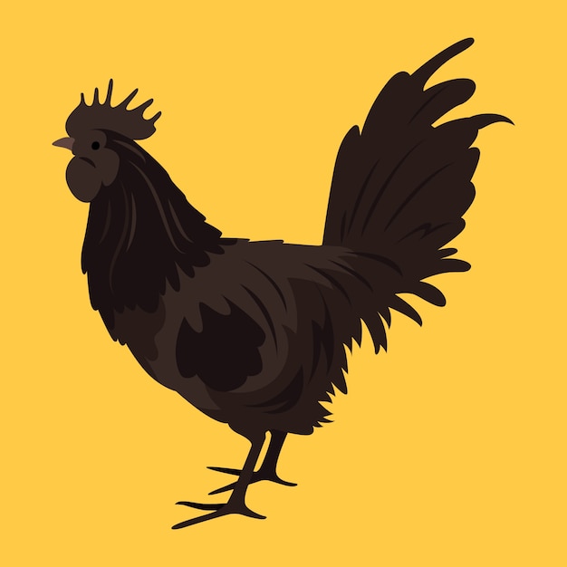 Flat design rooster illustration