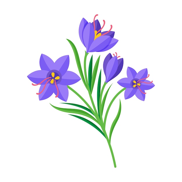 Free Vector flat design saffron illustration