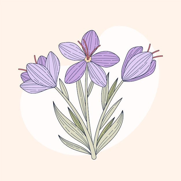 Flat design saffron illustration