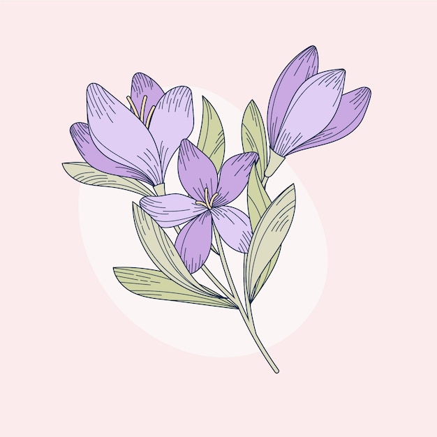 Flat design saffron illustration