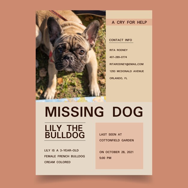 Flat design simple lily lost dog poster