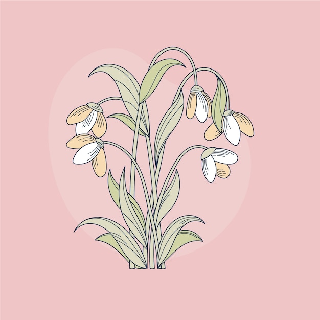 Flat design snowdrop illustration