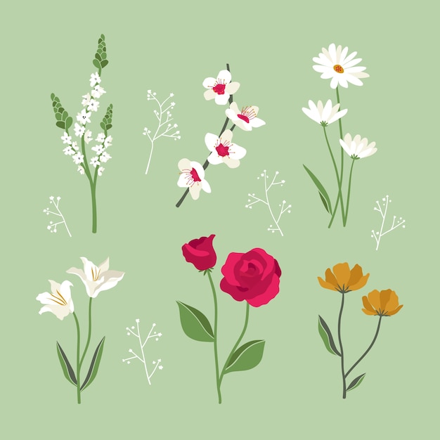 Flat design spring blooming flowers