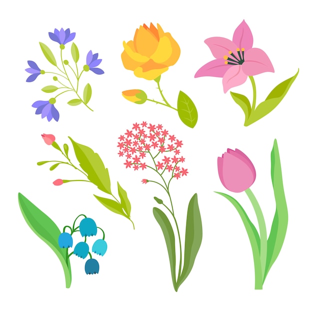 Flat design spring flower collection