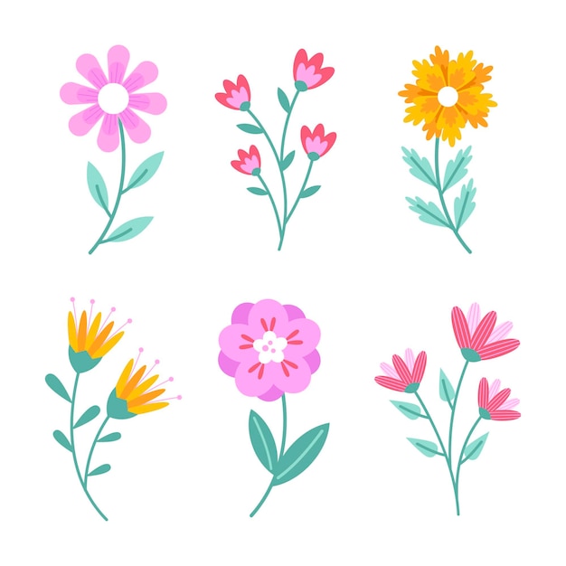 Flat design spring flower collection