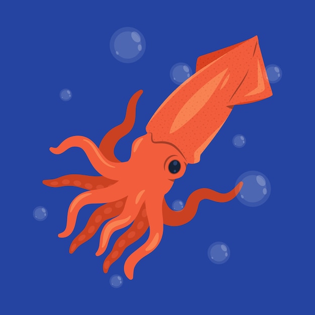 Flat design squid illustration