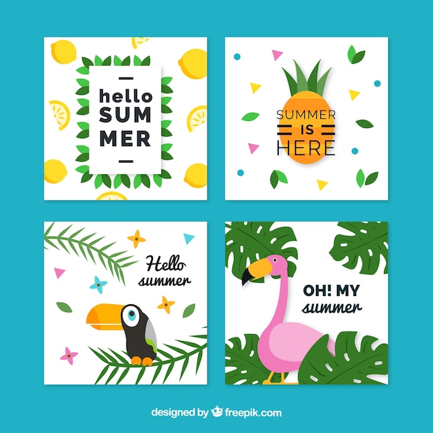 Free Vector flat design tropical summer cards