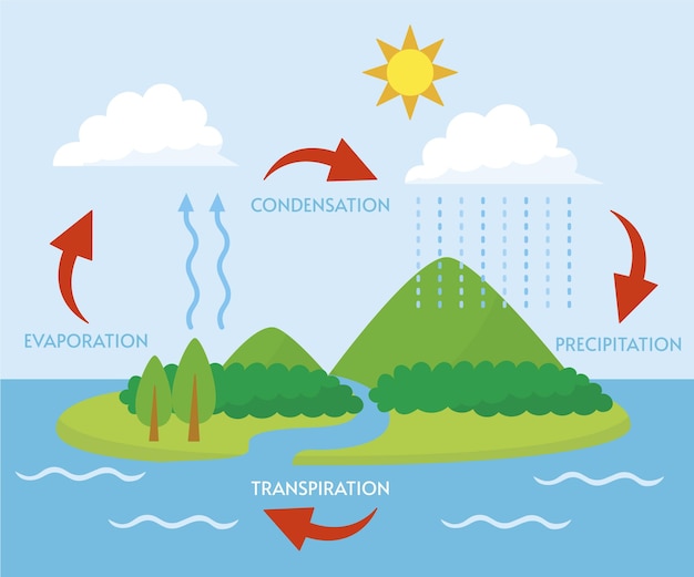 Free Vector flat design water cycle illustration