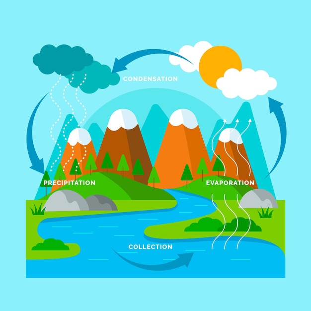 Free Vector flat design water cycle illustration