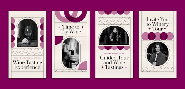 Free Vector flat design wine tasting instagram stories