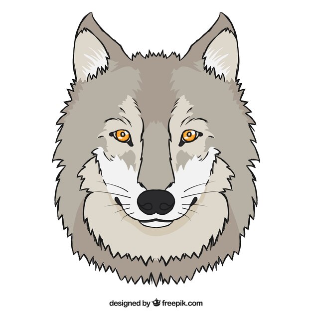 Flat design wolf