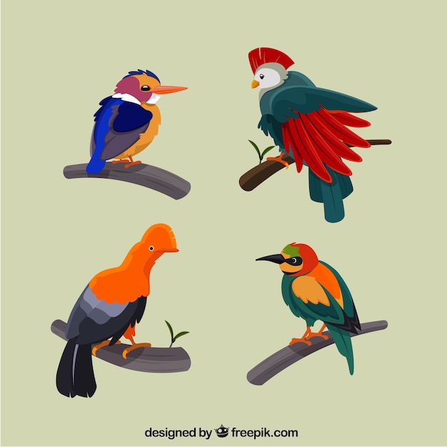 Free Vector flat exotic bird collection