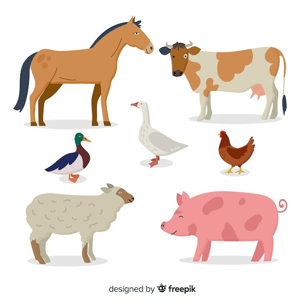 Flat farm animal collection