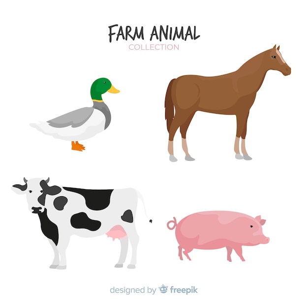 Flat farm animal collection