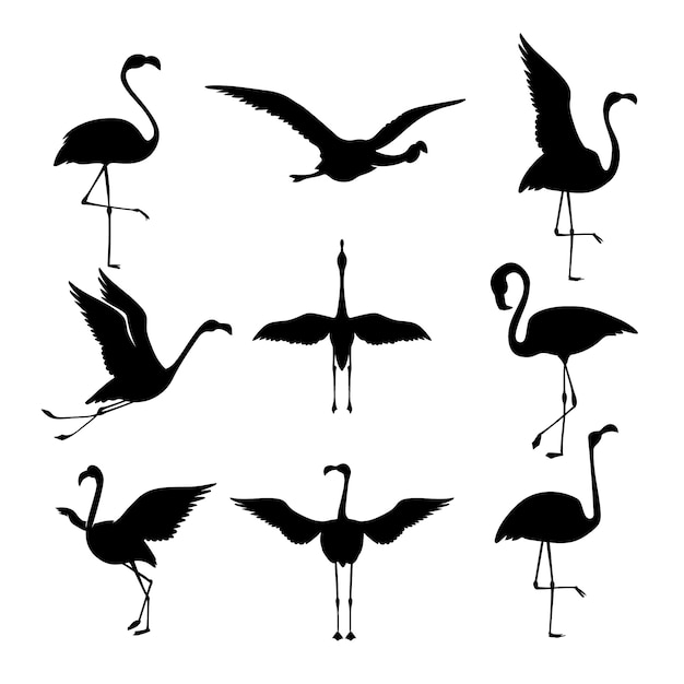 Flat flamingo silhouettes collection