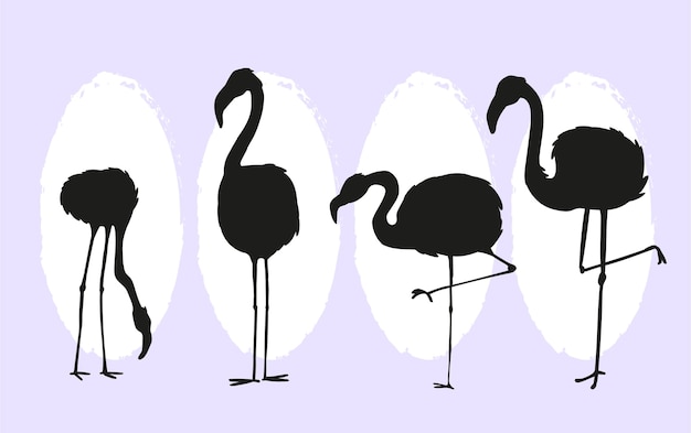 Flat flamingo silhouettes collection