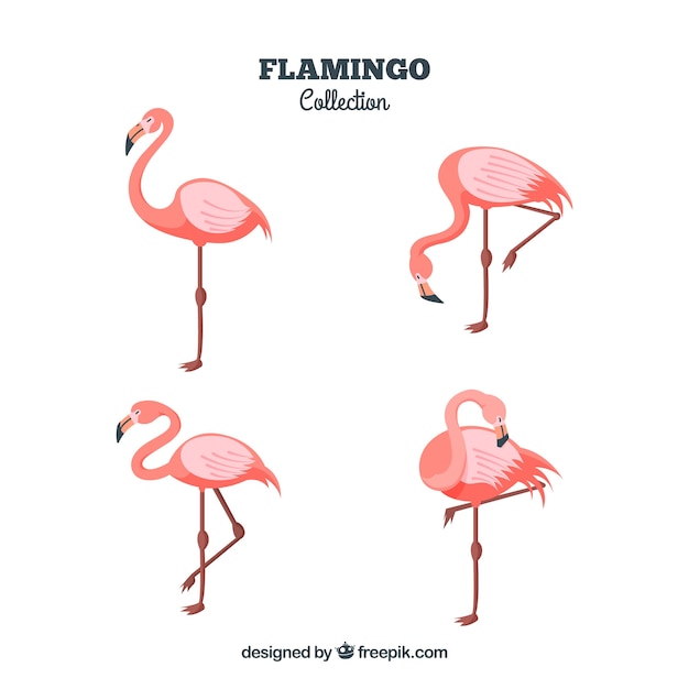 Free vector flat flamingos collection in different poses