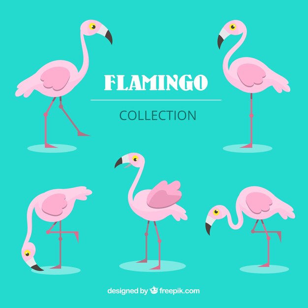 Flat flamingos collection in different poses