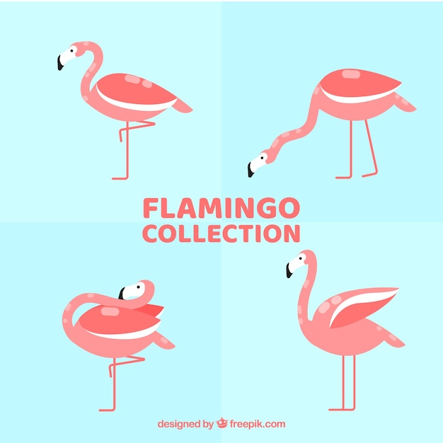 Flat flamingos collection in different poses