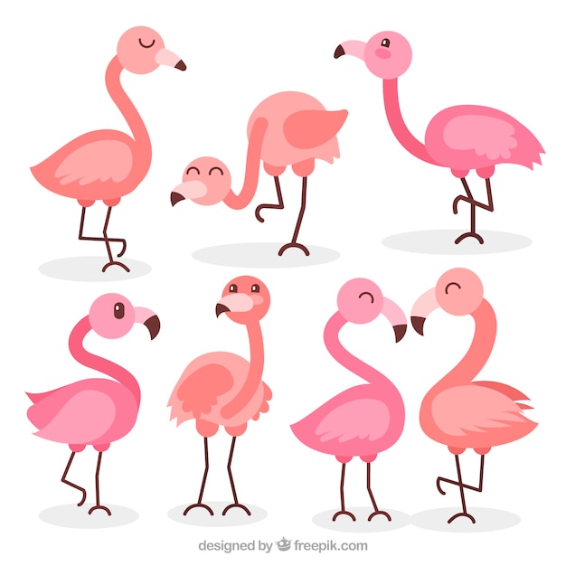 Free Vector flat flamingos collection in different poses