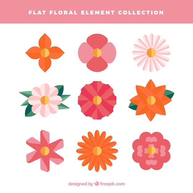 Flat floral elements collection 