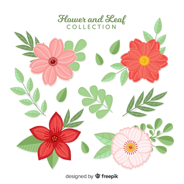 Flat flower and leaf collection