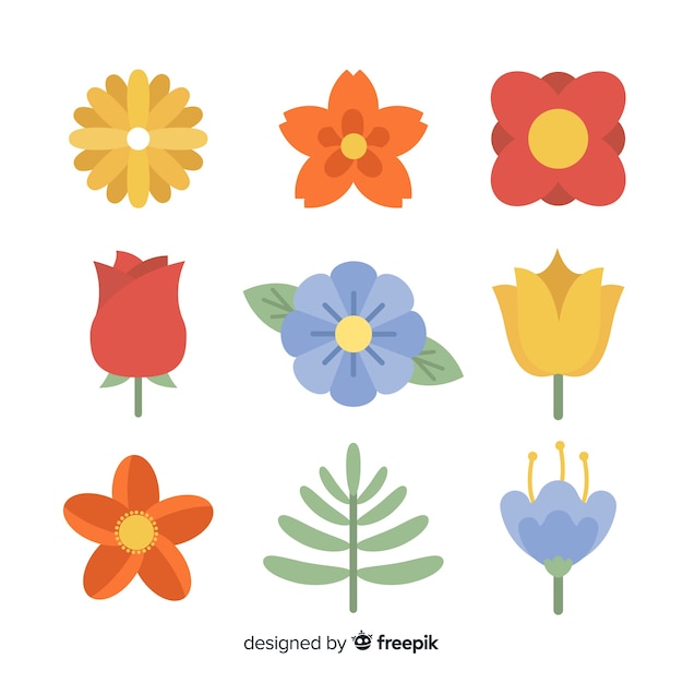 Free Vector flat flower and leaf collection