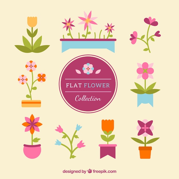 Flat flowers in warm colors