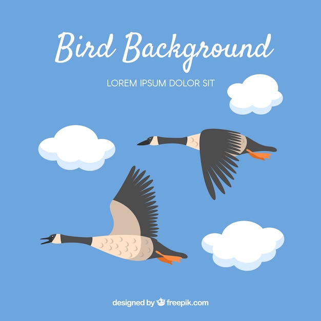 Free Vector flat flying bird background