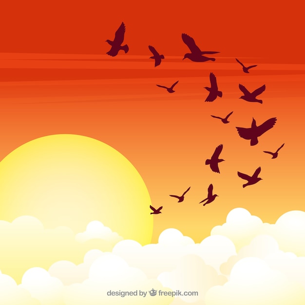 Free Vector flat flying bird background