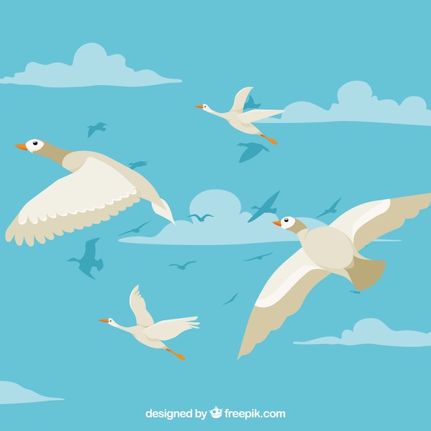 Free Vector flat flying bird background