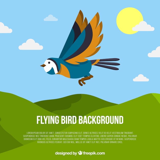 Free Vector flat flying bird background