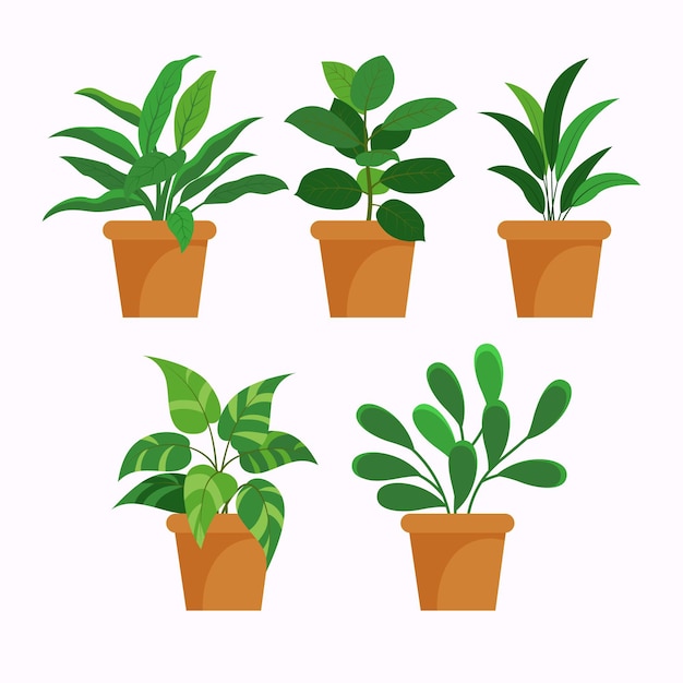 Free vector flat houseplant collection