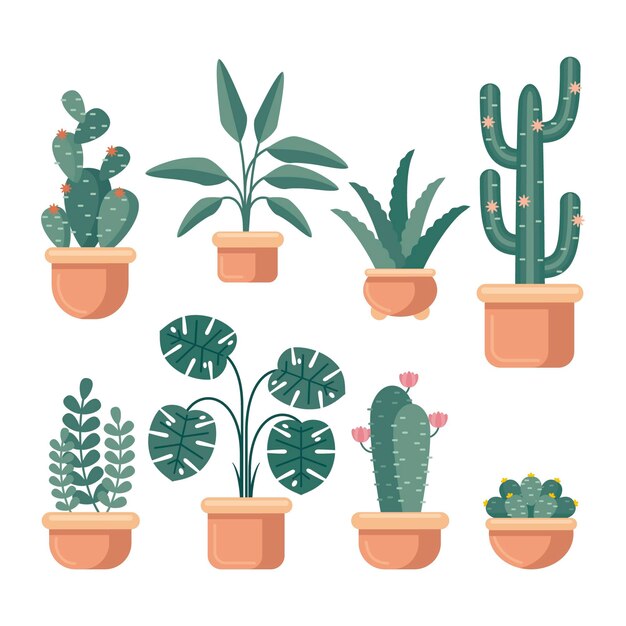 Flat houseplant collection