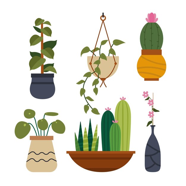 Flat houseplant collection